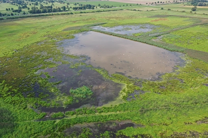 Luftaufnahme des Vogelschutzgebiets ‚Leinetal bei Salzderhelden‘. Zu sehen sind mehrere flache Wasserflächen und Feuchtwiesen, die von grünen Ufer- und Vegetationsbereichen umgeben sind. Das Gebiet dient zahlreichen Vogelarten als Lebensraum und Rastplatz. Im Hintergrund erstreckt sich die offene Kulturlandschaft des Leinetals mit Wiesen, Feldern und Baumreihen.&nbsp;&copy;&nbsp;Landkreis Northeim