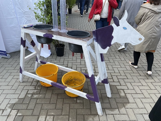 An einer lila gefleckten Modellkuh kann das Melken geübt werden. Unter dem Gummieuter befinden sich gelbe Eimer.