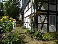 Ein Fachwerkhaus mit weißen Wänden und dunklen Holzbalken, umgeben von einem blühenden Garten mit gelben und roten Blumen. Ein Mann in heller Kleidung und mit einem Notizbuch oder Unterlagen in der Hand inspiziert aufmerksam die Fassade des Hauses. Im Vordergrund sind Sträucher und Pflanzen zu sehen, während im Hintergrund eine Baumreihe und weitere Gebäude erkennbar sind. Es scheint Sommer zu sein.