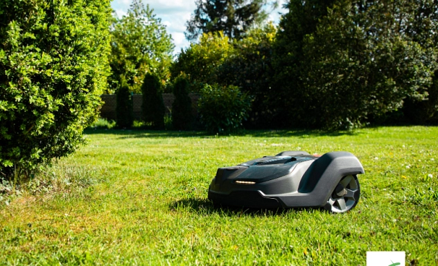 Ein autonomer Mähroboter mäht tagsüber den Rasen in einem Garten mit Hecken und Bäumen im Hintergrund.