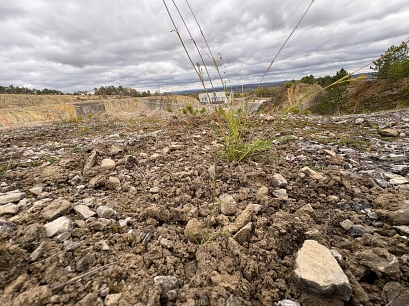 Bodennahe Aufnahme einer kargen, steinigen Fläche in einem ehemaligen Steinbruch oder Abbaugebiet. Im Vordergrund liegt loser, trockener Boden mit kleinen Steinen und einigen spärlichen Gräsern. Im Hintergrund sind terrassenartige Felswände, vereinzelte Baufahrzeuge sowie ein bewölkter Himmel zu sehen.&nbsp;&copy;&nbsp;Landkreis Northeim