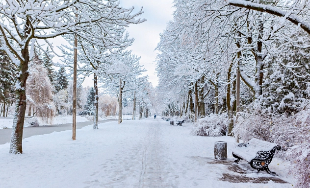 Schnee Zu sehen ist ein verschneiter Weg der nicht geräumt ist.